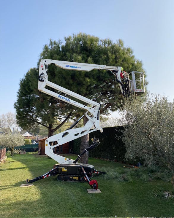 icona manutenzione